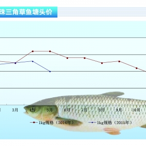 ���~���ܴ������^��Ӱ� �~�r������������ˮ�aǰ�ء�2015��6�¿��Ј�څ��