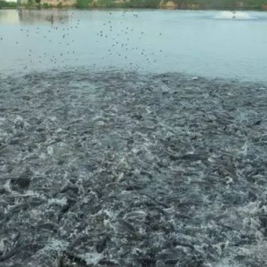 혵����~�������_�������ϏS���԰l�����Ј�