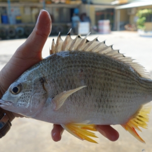 �����I�Ӿo��4�f���S�������Ј�����