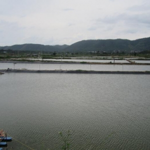 �V�����r�j���ѬF  �J������Ͷ������E�p