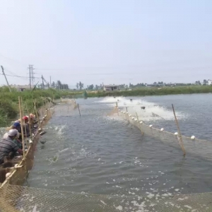 ƽɳ�_�����Ј��A���»�4�������󸂠�����