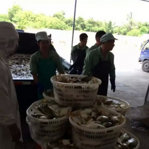 �c���ʺ硱ِ�����Fɽ�۽��K�B�����ս��K