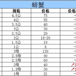 2015��10��5���|���P�\��з�r������