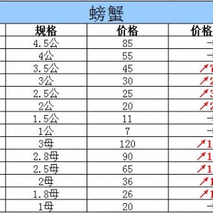 2015��10��10���|���P�\��з�r������