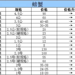 2015��10��20���|���P�\��з�r������