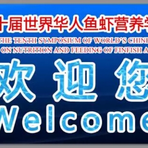 ǰ�������A������ʮ�����A��ȫ��λ����ذ����u��