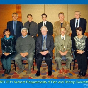 ֵ�����]���I(y��)�������~��c�ך�I�B(y��ng)��Ҫ��