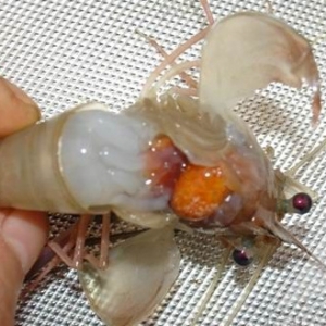 һ��֪�Խ�����r����2015�ꁆ���r���R��