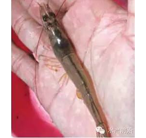 �����x�����ɵ�����Ī�N�r���M���Ї�