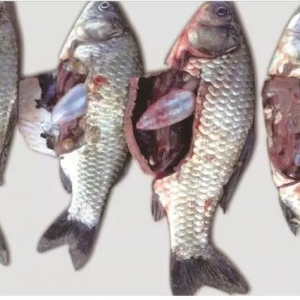 �}�ǵ؅^�a�~�Bֳ�w��Ѫ����׃����څ��