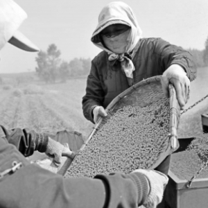 ��ُ��ȫ�Ј��� �󶹮a�N����{�m