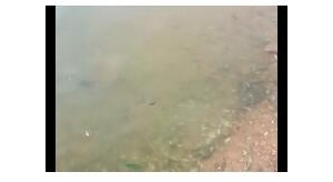 ï�����F�_���~�����e�����������^��ԓ����a�ȣ�