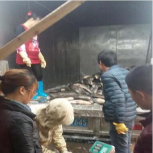 ��ƽ�������|�~��ȥ�Ώģ��B����A��ʎ�a