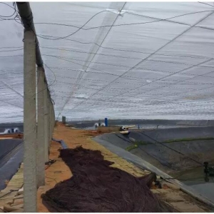 �I�������W�u�~�Űl�F20-50����đȫ��������