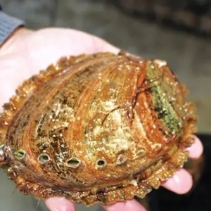 �U�~�Bֳ�a�I�ɳ��m�lչ�����@������ͻ��