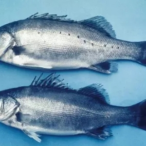 �_�����|�a�I�lչ40������Դ��~�r���^ɽ܇