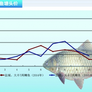 �a�~���߂����ϝq�l��������ˮ�a(ch��n)ǰ�ء�2015��11�¿��Ј�څ��