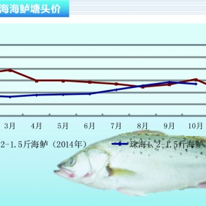 ���|�����~��m���� ���Ѓr����»�������ˮ�aǰ�ء�2015��11�¿��Ј�څ��