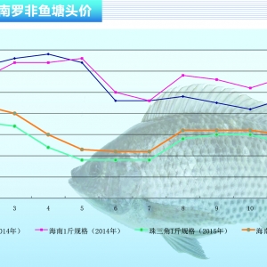 �_���~��ُ�N�ߵ� �~�r�^�m���С�����ˮ�aǰ�ء�2015��12�¿��Ј�څ��