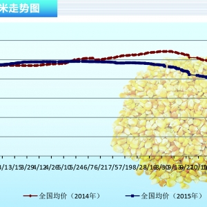 ���ף��R����ُ�_չ ���������|�׷���������ˮ�aǰ�ء�2015��12�¿��Ј�څ��