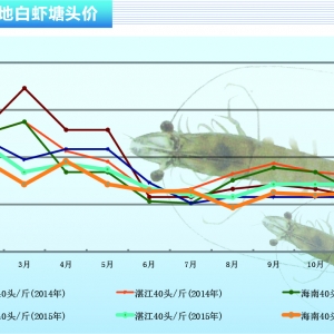���r���������@�o�� �r�r��ů������ˮ�aǰ�ء�2016��1�¿��Ј�څ��