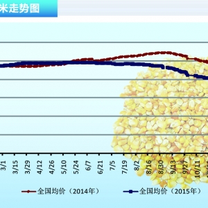 ���ף��R��݆�żZ��ǰͶ�� ������ʎ��ֲ��ġ���ˮ�aǰ�ء�2016��1�¿��Ј�څ��