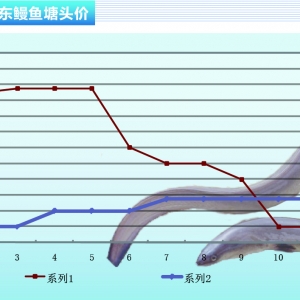 ���~���Ї���ꑮa�س��؃r�����½�������ˮ�aǰ�ء�2016��1�¿��Ј�څ��