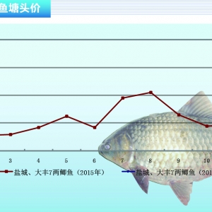 �a�~�����鲻��������䡪����ˮ�a(ch��n)ǰ�ء�2016��2�¿��Ј�څ��