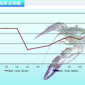 С���r����؛�F��򌢳��m�������^�󡪡���ˮ�aǰ�ء�2016��2�¿��Ј�څ��