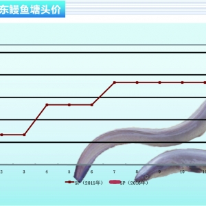 ���~��ӭ�������һ�δ�q������ˮ�aǰ�ء�2016��2�¿��Ј�څ��