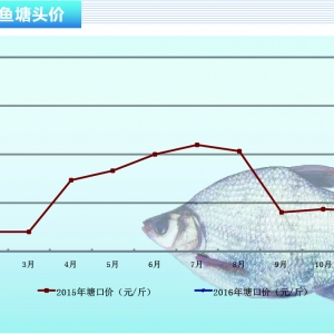 ���~���r��ƽ��(w��n) �ɽ���һ�㡪����ˮ�aǰ�ء�2016��2�¿��Ј�څ��