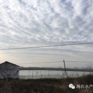 ��з���̓r�������ֻ� �ИI(y��)�l(f��)߀ԭ����