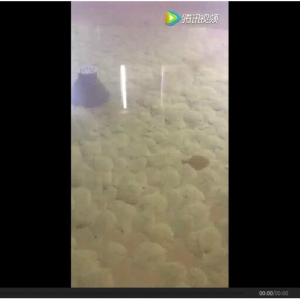 �ИI��������ȶ����~��������ʲô��