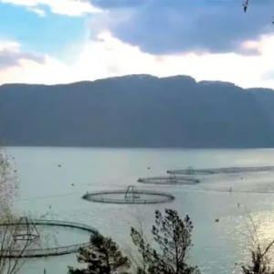 ����ИI���І��}�������~�۵�ȫ�����Ʒ