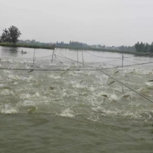 �������2016�Bֳ��Ҏ�~��X��;���ă�