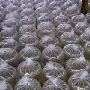 ُ�Nָ�� | ���ό�ӭ��Ͷ��߷壬һ���翹���Գ��u�c����r���ϝq15%