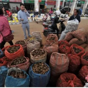 ��������Ҏģ���r�Iֻ����·һ�l ˮ�a�����