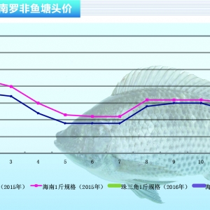 �_���~������ϡ�� �����~�r�R�q ������ˮ�aǰ�ء�2016��3�¿��Ј�څ��