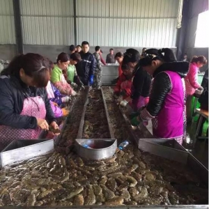 ϼ���r���r����������������ͻ��45Ԫ/�