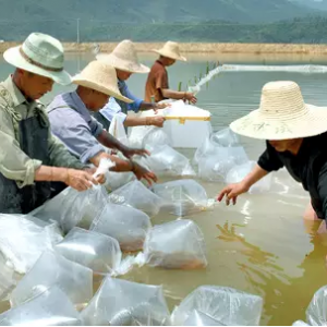 �~����������Ƚ��x�����׌��r�N�I(y��)