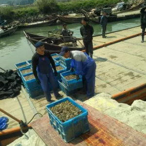 ϼ���r����� �N���ѳ��߳�