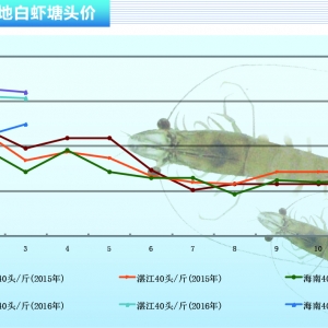 ���r���������� �r�rڅ�򷀶����󡪡���ˮ�aǰ�ء�2016��4�¿��Ј�څ��