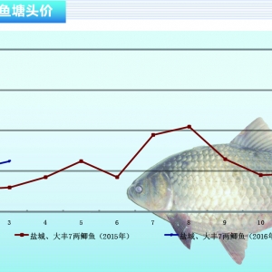 �a�~��4�·݃r�����ϝq���g ������ˮ�a(ch��n)ǰ�ء�2016��4�¿��Ј�څ��