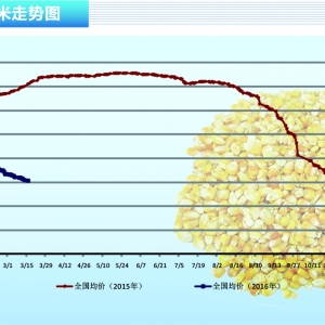 ���ף��o�����߷żZ �Ј�һƬ�� ������ˮ�aǰ�ء�2016��4�¿��Ј�څ��