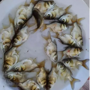 ��ُ�r�j��11Ԫ/������߀һ���~���y��Ŀs�Ǵ��^�����H�[��Σ�C������Q����