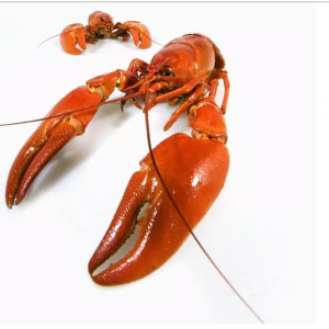 С���r������ˮ̎�����ؽ��ٳ��ˣ�