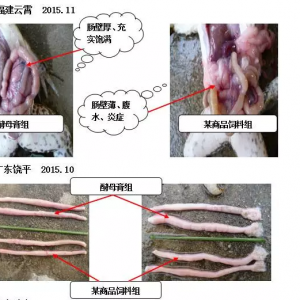 ţ���c��׃�ã����L�����ˣ����������������@�c�|��