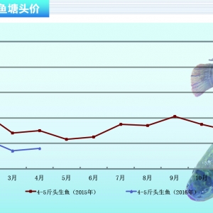 ���~����ʡ���г��~ �V�|�����~�r(ji��)�y�q������ˮ�a(ch��n)ǰ�ء�2016��5�¿��Ј�(ch��ng)څ��(sh��)