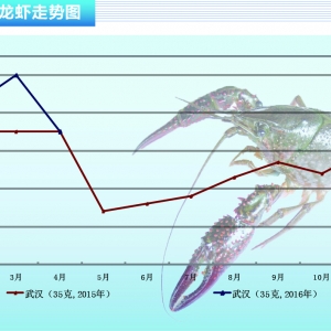 С���r���Ј�����������޷����� �r���ϓP ������ˮ�aǰ�ء�2016��5�¿��Ј�څ��