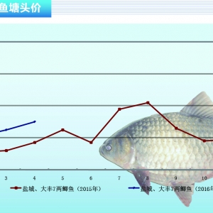 �a�~����Ҏ(gu��)��������� �~�r�ϝq ������ˮ�a(ch��n)ǰ�ء�2016��5�¿��Ј�څ��